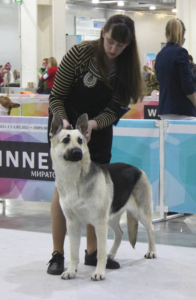 http://upforme.ru/uploads/000b/fb/4c/6/159186.jpg