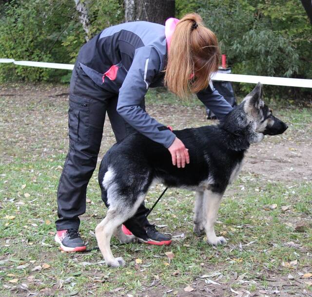 http://upforme.ru/uploads/000b/fb/4c/6/167895.jpg