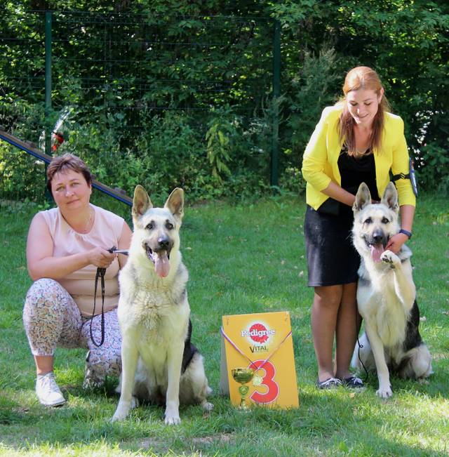 http://upforme.ru/uploads/000b/fb/4c/6/177244.jpg