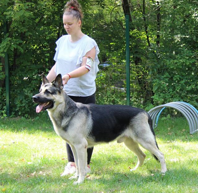 http://upforme.ru/uploads/000b/fb/4c/6/179733.jpg