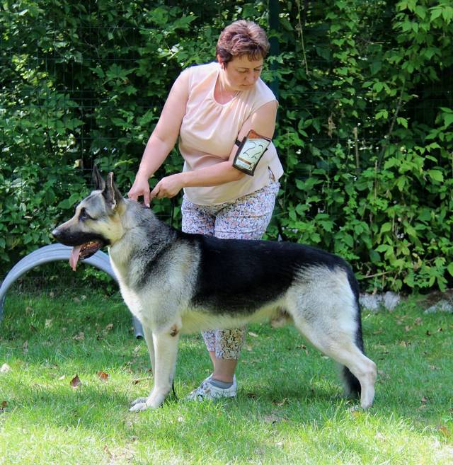 http://upforme.ru/uploads/000b/fb/4c/6/183541.jpg