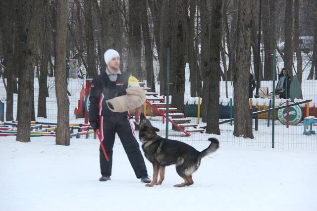 http://upforme.ru/uploads/000b/fb/4c/6/18822.jpg