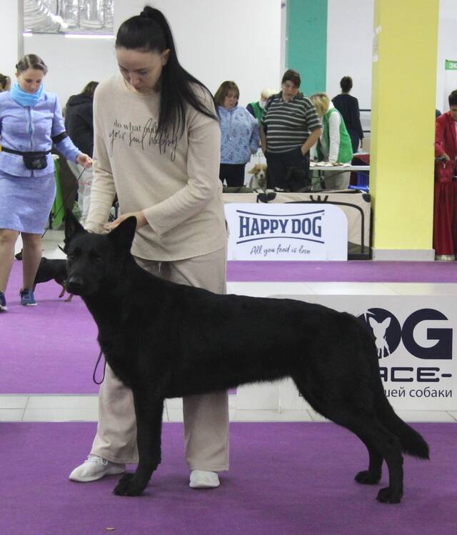 http://upforme.ru/uploads/000b/fb/4c/6/191390.jpg