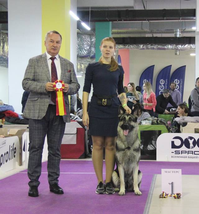 http://upforme.ru/uploads/000b/fb/4c/6/24626.jpg