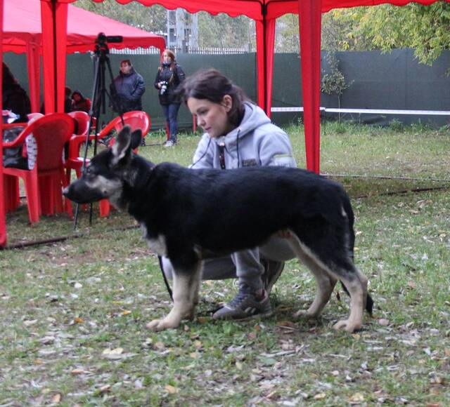 http://upforme.ru/uploads/000b/fb/4c/6/246751.jpg