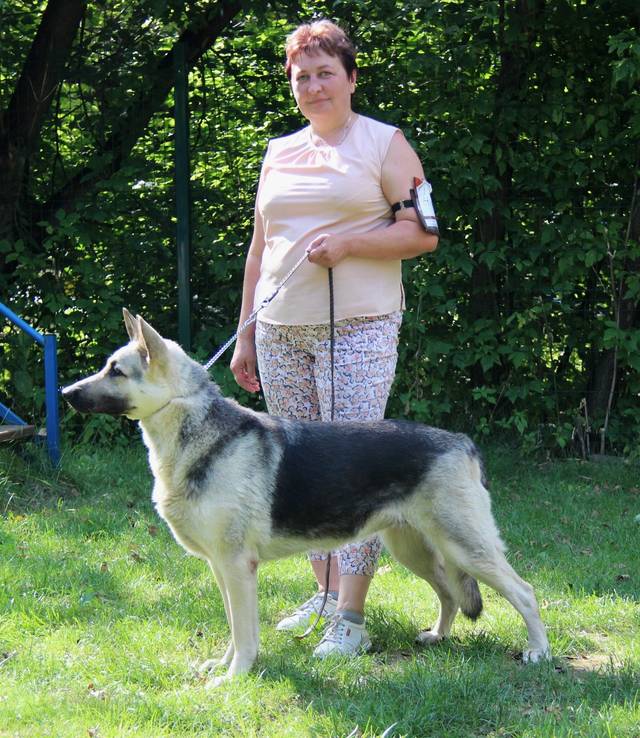 http://upforme.ru/uploads/000b/fb/4c/6/248783.jpg