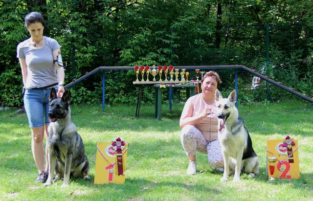 http://upforme.ru/uploads/000b/fb/4c/6/249958.jpg