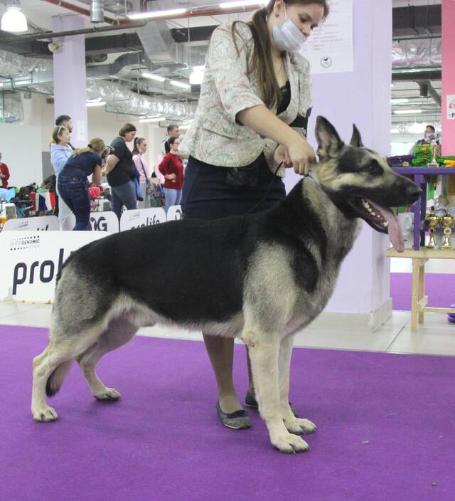 http://upforme.ru/uploads/000b/fb/4c/6/250453.jpg