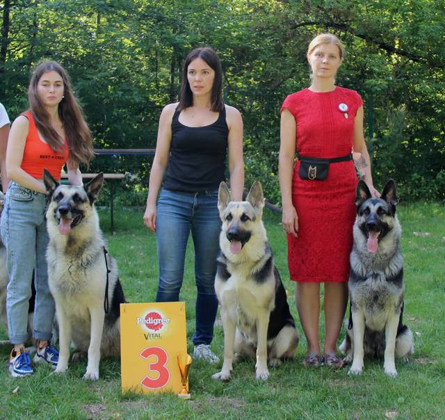 http://upforme.ru/uploads/000b/fb/4c/6/253740.jpg
