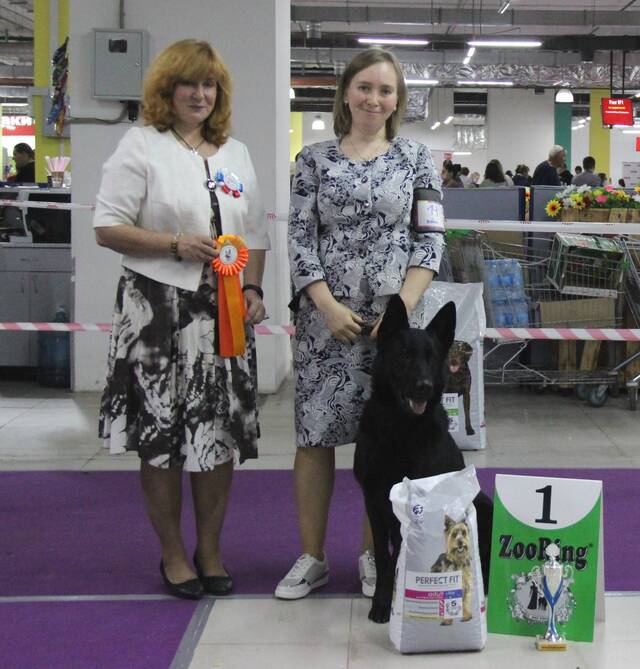 http://upforme.ru/uploads/000b/fb/4c/6/29335.jpg