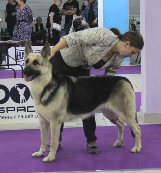 http://upforme.ru/uploads/000b/fb/4c/6/315965.jpg