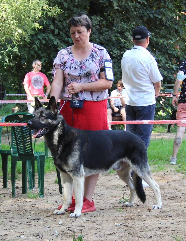 http://upforme.ru/uploads/000b/fb/4c/6/329020.jpg