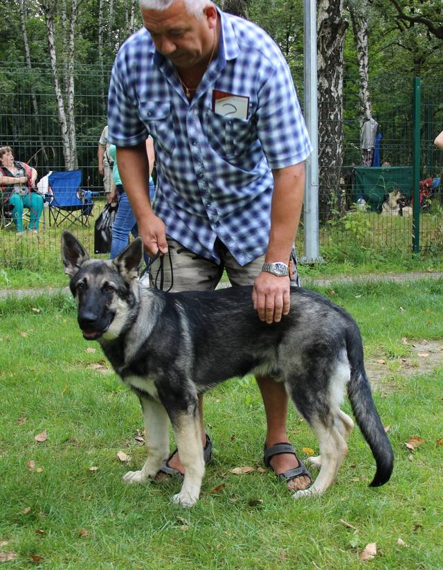 http://upforme.ru/uploads/000b/fb/4c/6/35006.jpg