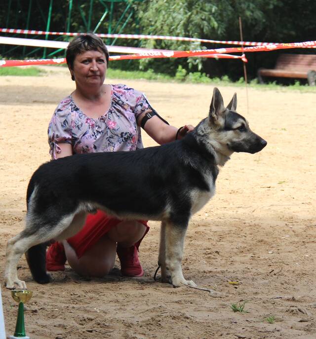 http://upforme.ru/uploads/000b/fb/4c/6/380128.jpg