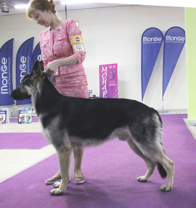 http://upforme.ru/uploads/000b/fb/4c/6/38185.jpg