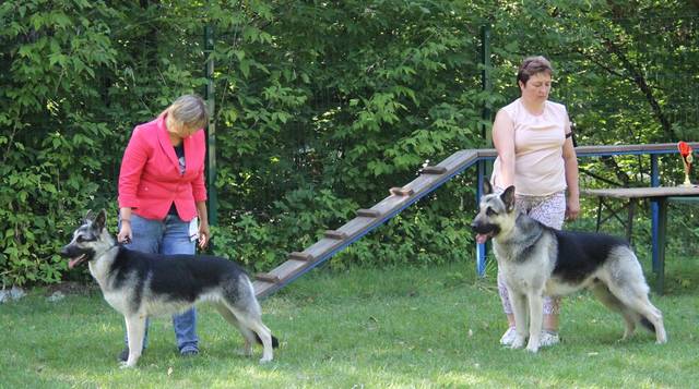 http://upforme.ru/uploads/000b/fb/4c/6/390571.jpg