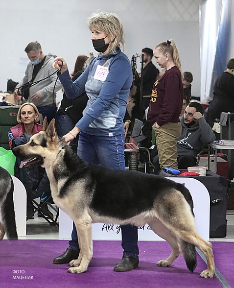 http://upforme.ru/uploads/000b/fb/4c/6/391772.jpg