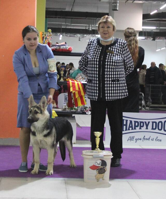 http://upforme.ru/uploads/000b/fb/4c/6/41015.jpg