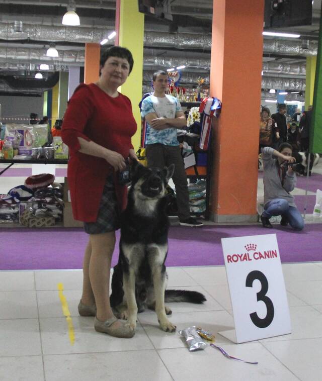 http://upforme.ru/uploads/000b/fb/4c/6/415280.jpg