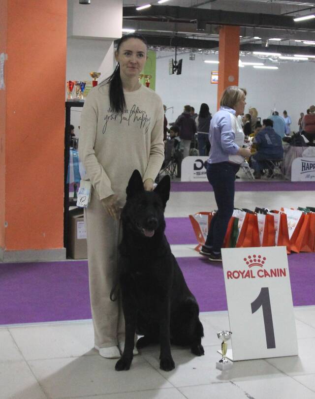 http://upforme.ru/uploads/000b/fb/4c/6/418210.jpg