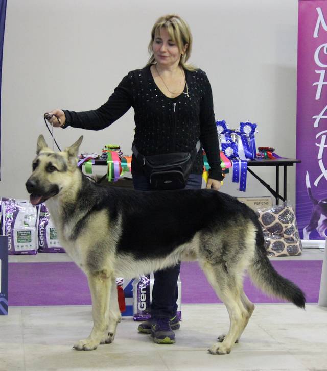 http://upforme.ru/uploads/000b/fb/4c/6/42110.jpg