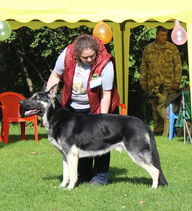 http://upforme.ru/uploads/000b/fb/4c/6/430500.jpg