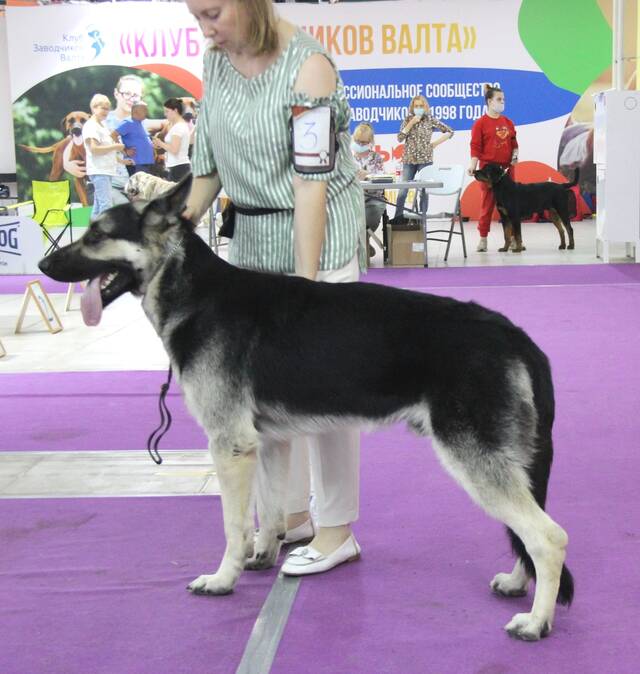 http://upforme.ru/uploads/000b/fb/4c/6/436256.jpg