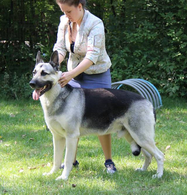 http://upforme.ru/uploads/000b/fb/4c/6/437960.jpg
