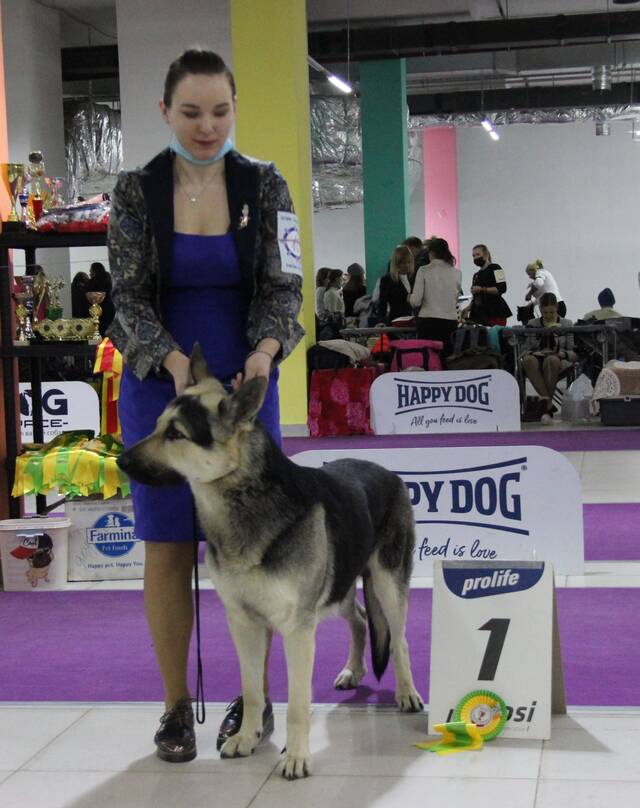http://upforme.ru/uploads/000b/fb/4c/6/457068.jpg