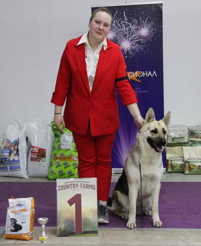 http://upforme.ru/uploads/000b/fb/4c/6/462580.jpg