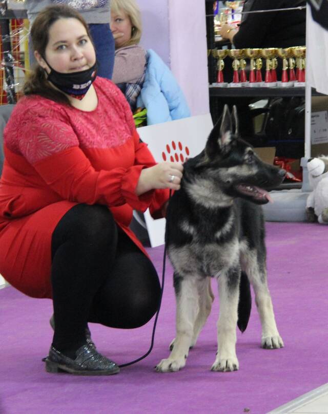 http://upforme.ru/uploads/000b/fb/4c/6/464366.jpg
