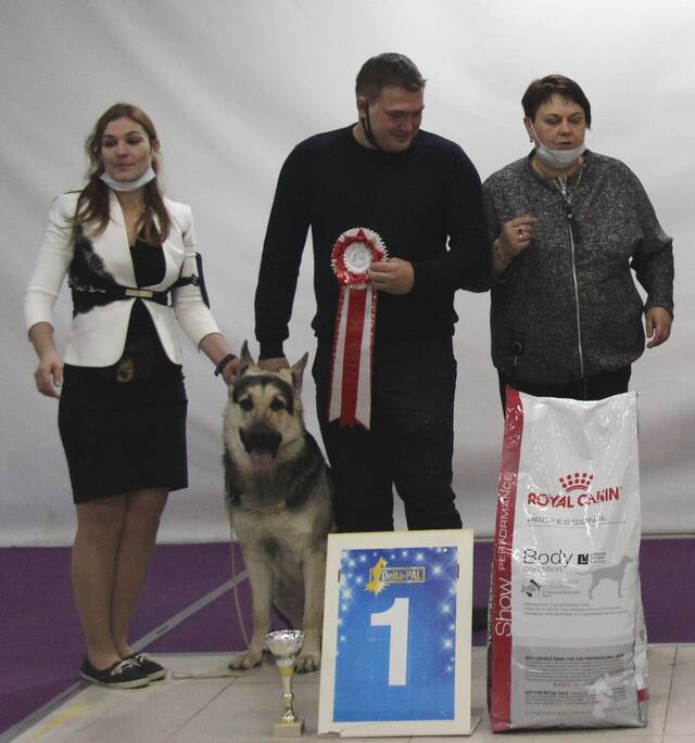http://upforme.ru/uploads/000b/fb/4c/6/467606.jpg