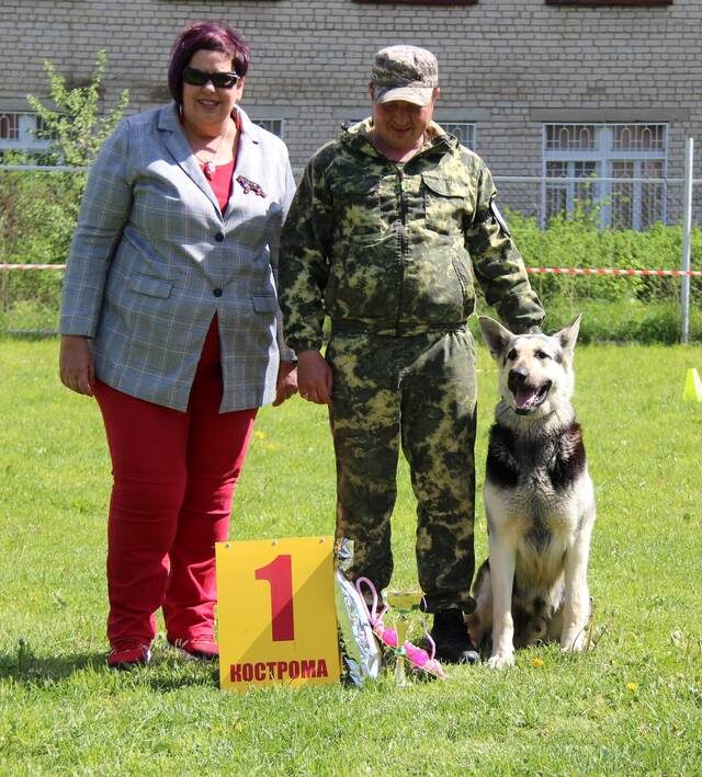 http://upforme.ru/uploads/000b/fb/4c/6/468517.jpg