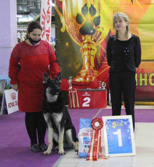 http://upforme.ru/uploads/000b/fb/4c/6/469646.jpg