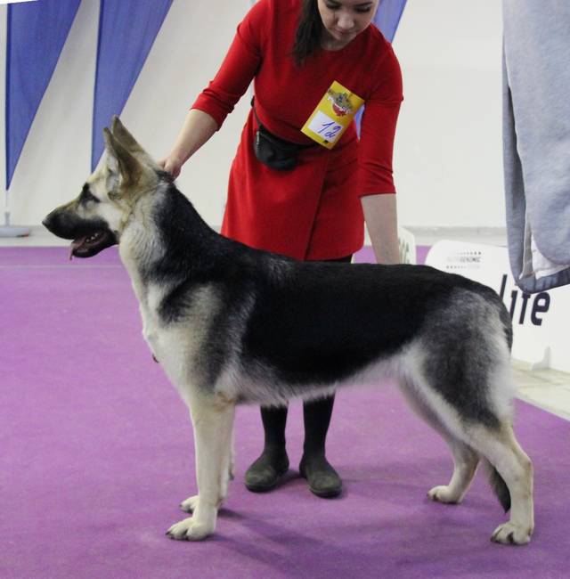 http://upforme.ru/uploads/000b/fb/4c/6/47784.jpg