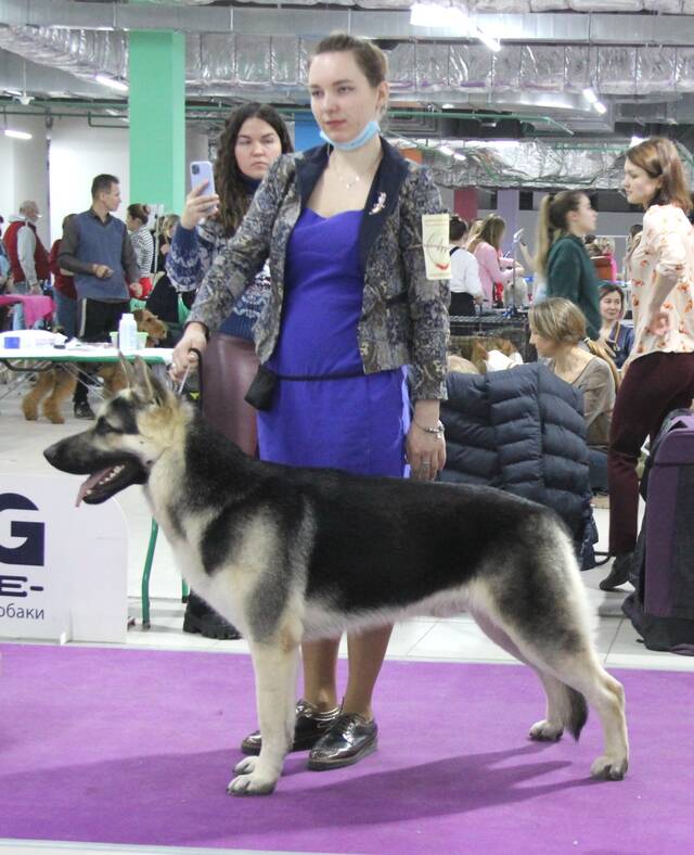 http://upforme.ru/uploads/000b/fb/4c/6/480470.jpg