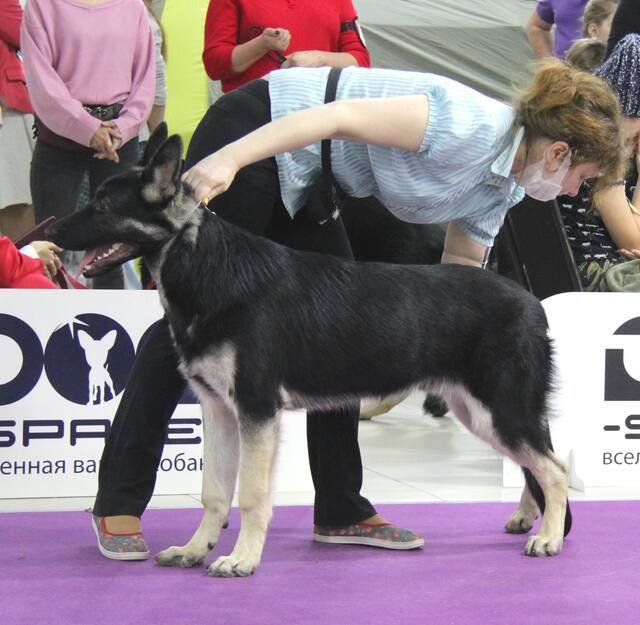 http://upforme.ru/uploads/000b/fb/4c/6/495564.jpg