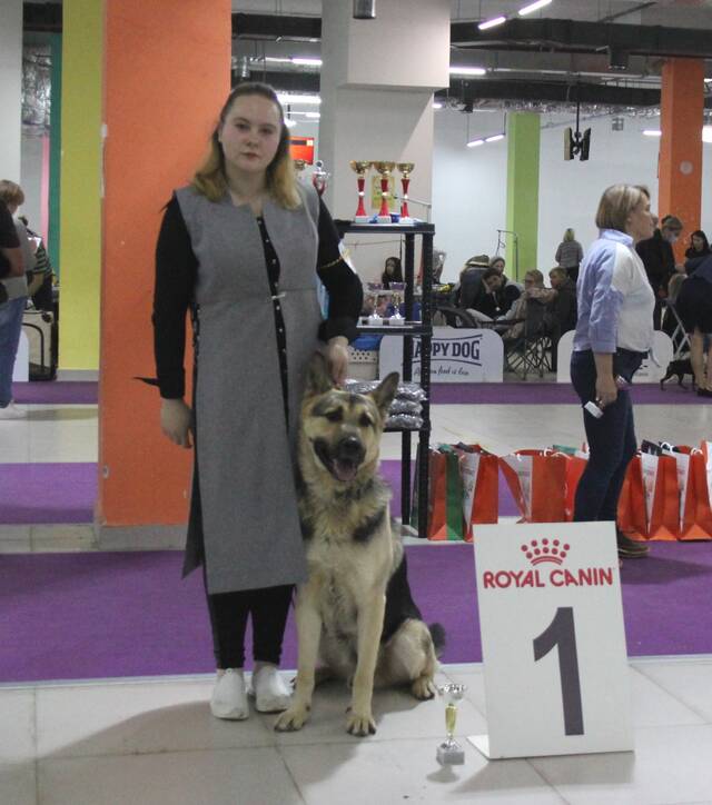 http://upforme.ru/uploads/000b/fb/4c/6/503329.jpg