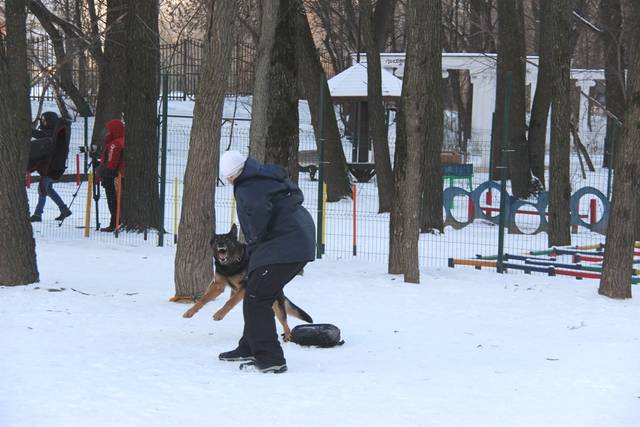 http://upforme.ru/uploads/000b/fb/4c/6/51147.jpg