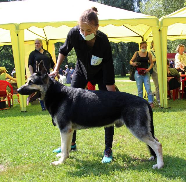 http://upforme.ru/uploads/000b/fb/4c/6/522512.jpg