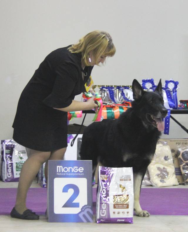 http://upforme.ru/uploads/000b/fb/4c/6/55341.jpg