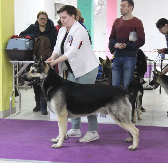 http://upforme.ru/uploads/000b/fb/4c/6/558427.jpg