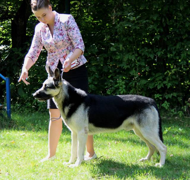 http://upforme.ru/uploads/000b/fb/4c/6/565781.jpg
