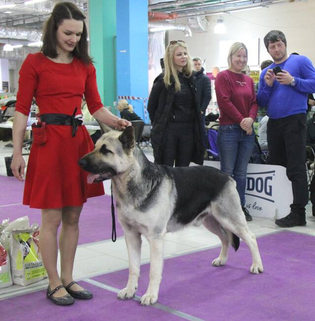 http://upforme.ru/uploads/000b/fb/4c/6/566398.jpg