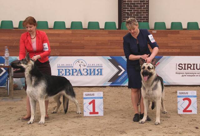 http://upforme.ru/uploads/000b/fb/4c/6/566876.jpg