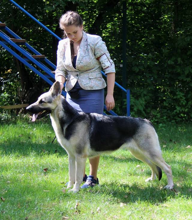 http://upforme.ru/uploads/000b/fb/4c/6/567871.jpg