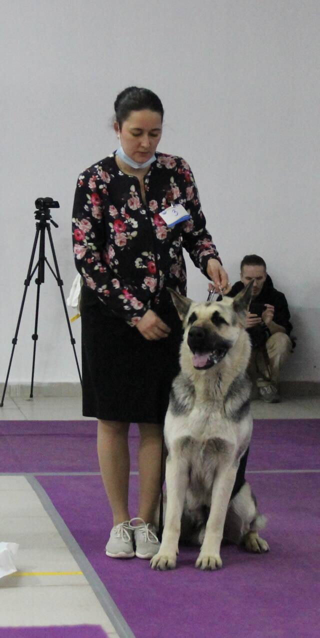 http://upforme.ru/uploads/000b/fb/4c/6/569552.jpg