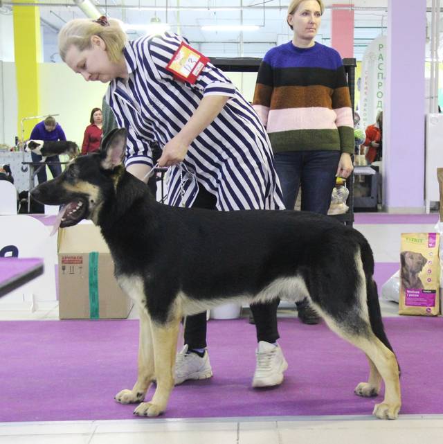 http://upforme.ru/uploads/000b/fb/4c/6/57315.jpg