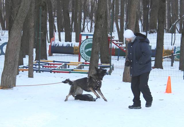 http://upforme.ru/uploads/000b/fb/4c/6/58268.jpg