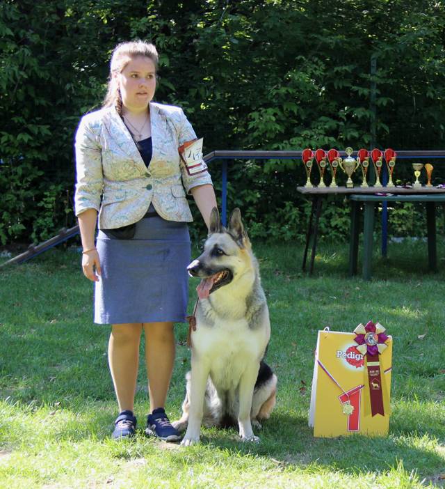 http://upforme.ru/uploads/000b/fb/4c/6/591584.jpg